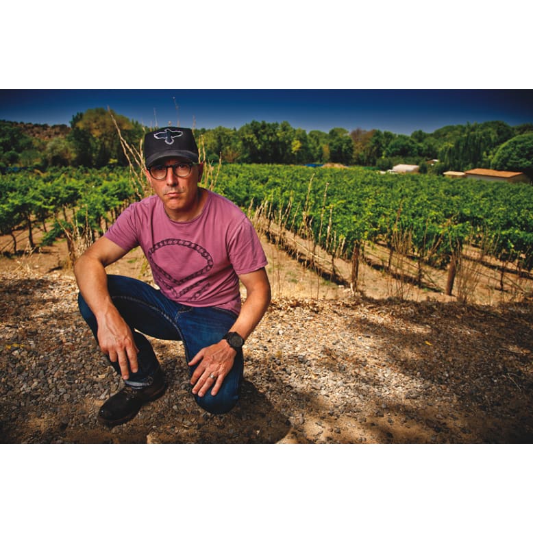 Maynard James Keenan Wines Sampler Pack #1 - Caduceus 6-pack - Image 3