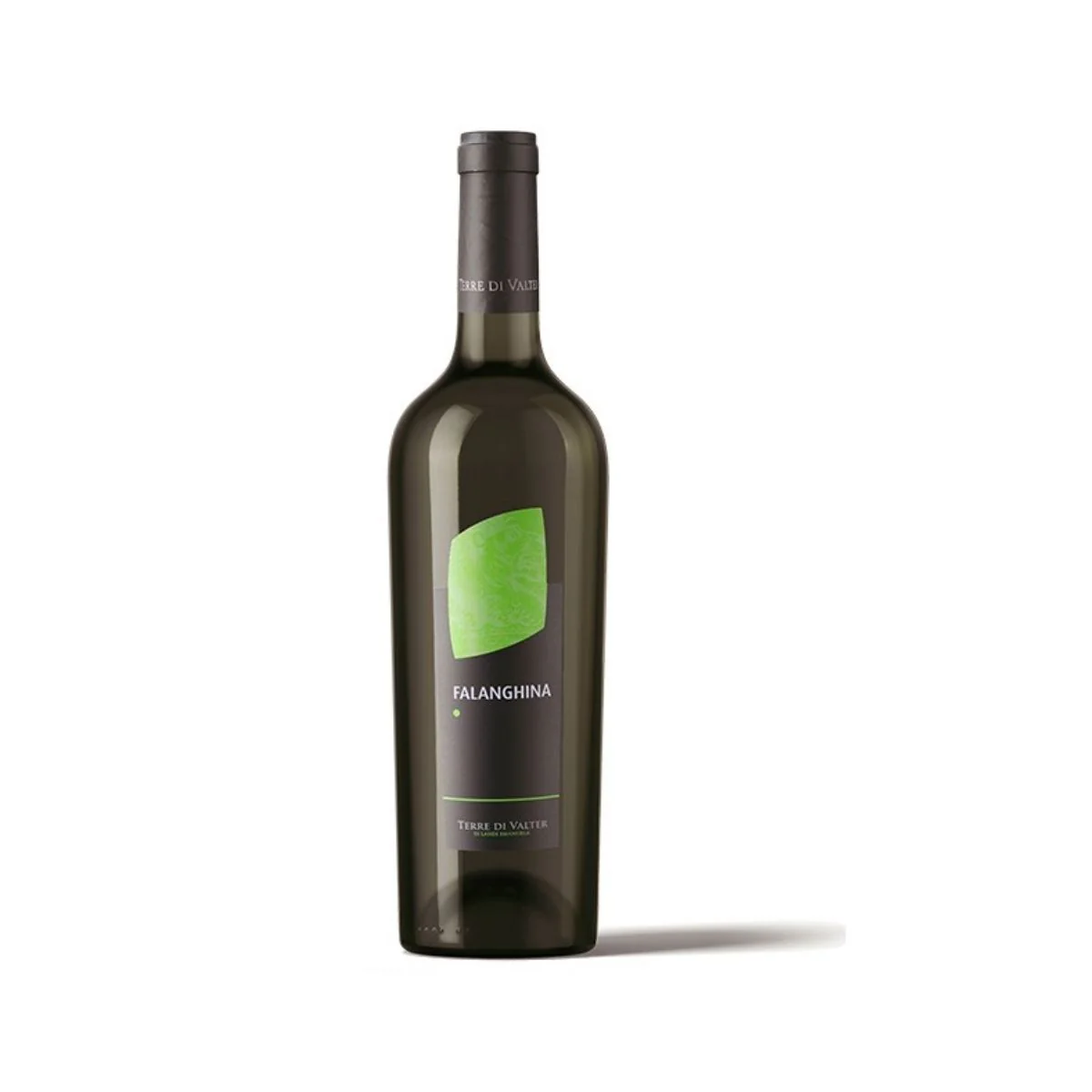 Terre Di Valter 2023 Falanghina